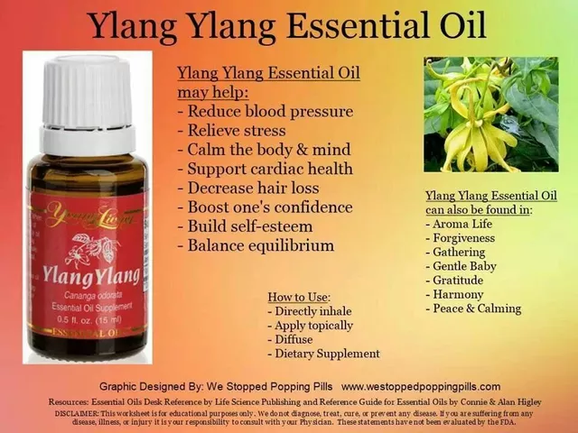 Ylang Ylang Oil: The Ultimate Natural Dietary Supplement for Stress Relief and Relaxation